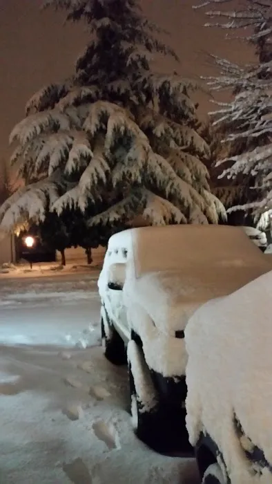 Pine Ridge Mobile Park Picture 4