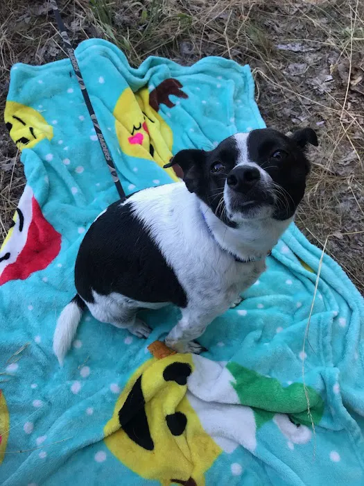 Pine Ridge Mobile Park Picture 2