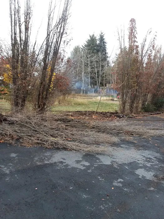 Pine Ridge Mobile Park Picture 6