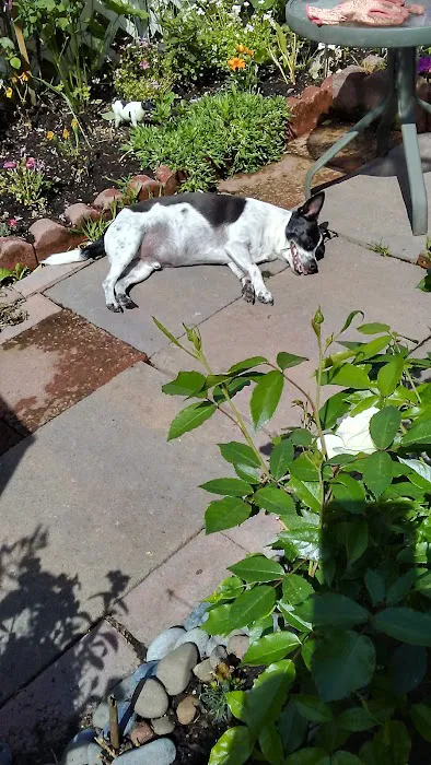 Pine Ridge Mobile Park Picture 9