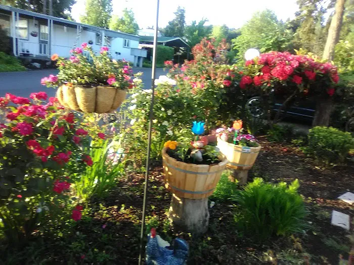 Pine Ridge Mobile Park Picture 10