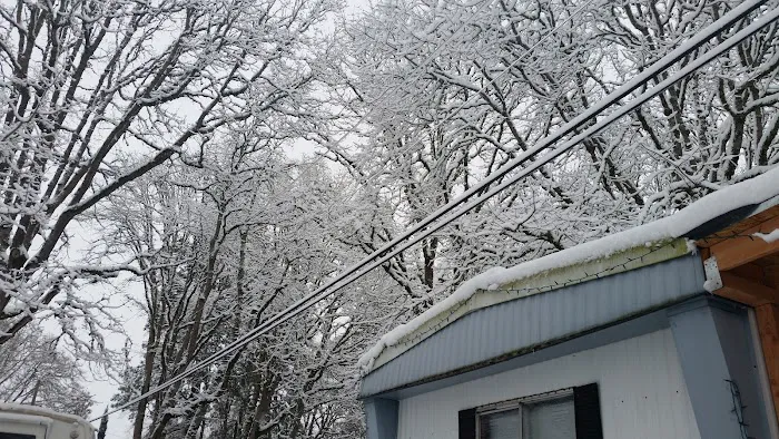 Pioneer Mobile Park Picture 1