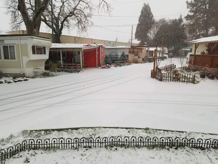 Pioneer Mobile Park Picture 4