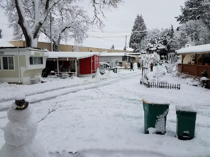 Pioneer Mobile Park Picture 5