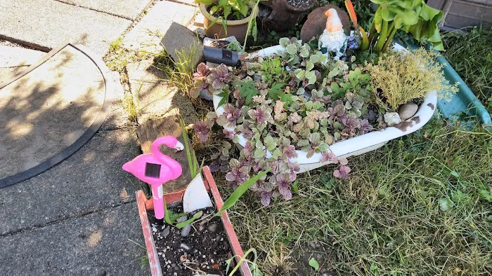 Azalea Gardens Mobile Manor Picture 5