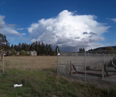 Nut Tree Ranch Mobile Estates #22