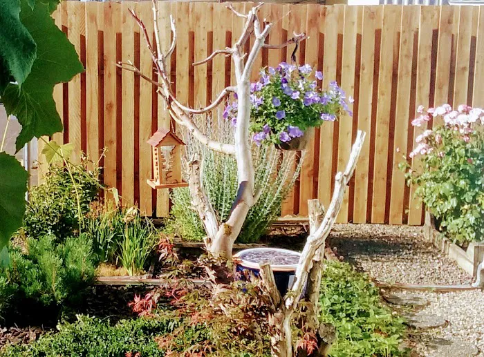 Nut Tree Ranch Mobile Estates #22 Picture 5