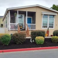 Springbrook Estates ico