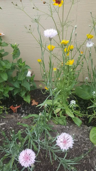 Springbrook Estates Picture 7