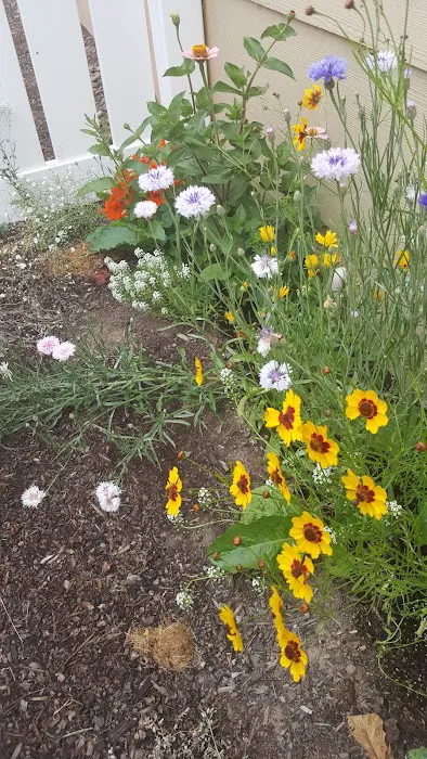 Springbrook Estates Picture 10