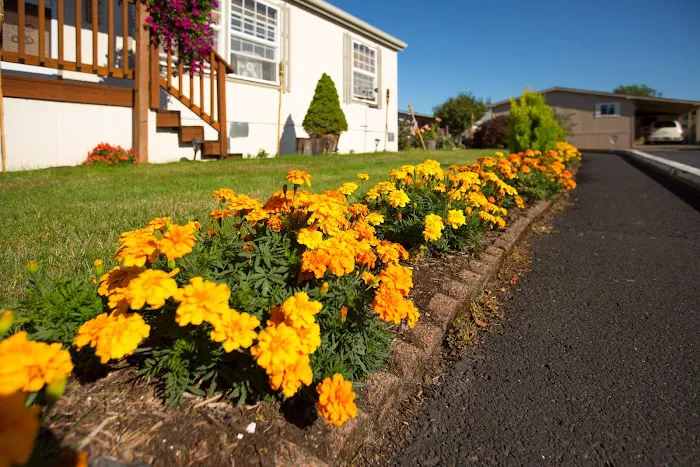 Ridgeview Village Picture 4