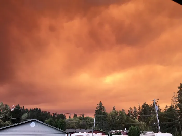 Chehalem Mobile Park Picture 3