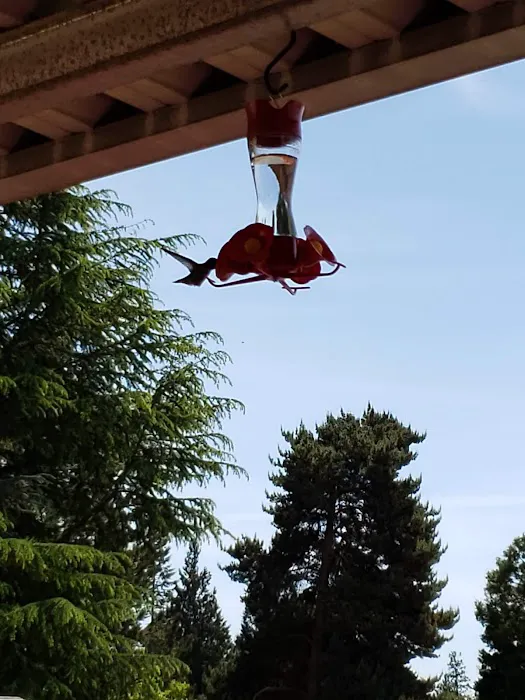 Seminole Estates Picture 1