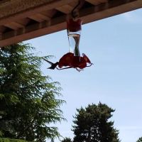 Seminole Estates ico