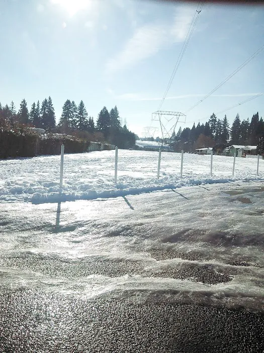 Creekside of Hillsboro Picture 1