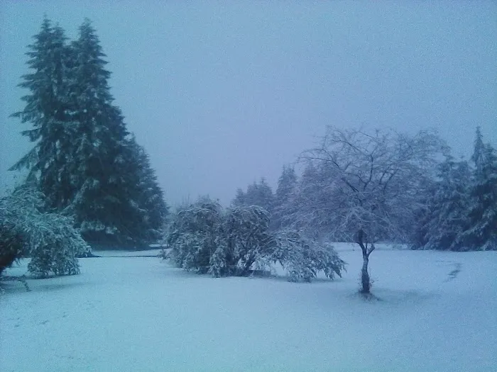 Parkwood Mobile Home Estates Picture 3