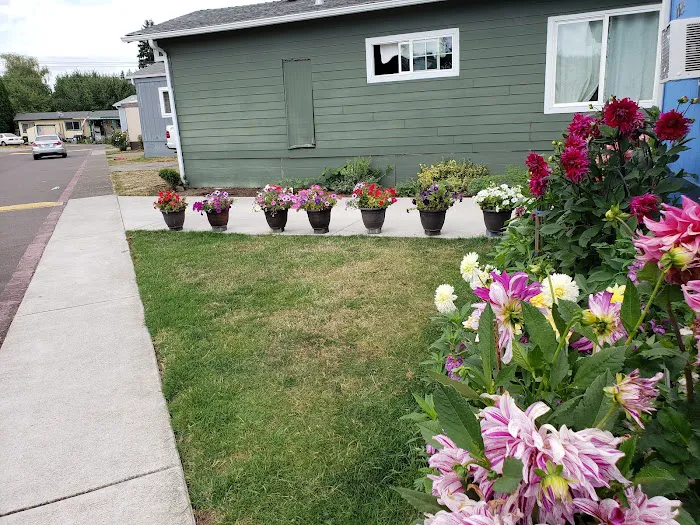 Kennedy Meadows Mobile Home Park Picture 3