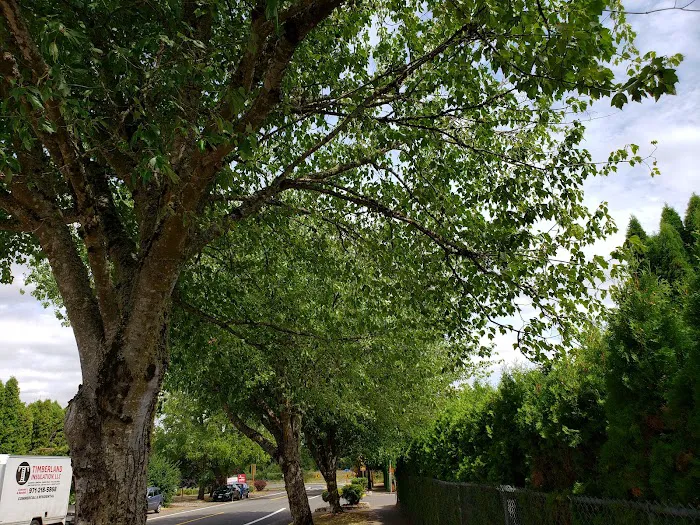 Kennedy Meadows Mobile Home Park Picture 9