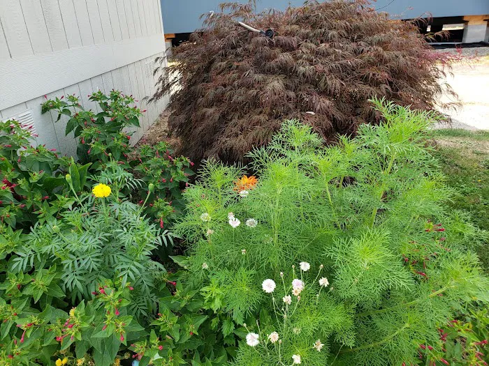 Kennedy Meadows Mobile Home Park Picture 6