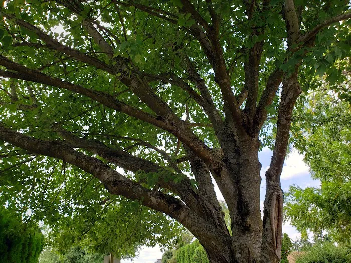 Kennedy Meadows Mobile Home Park Picture 10