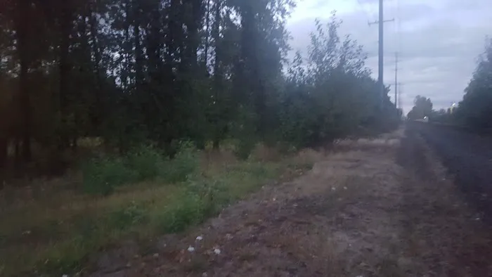 The Taylor's trailer park Picture 2