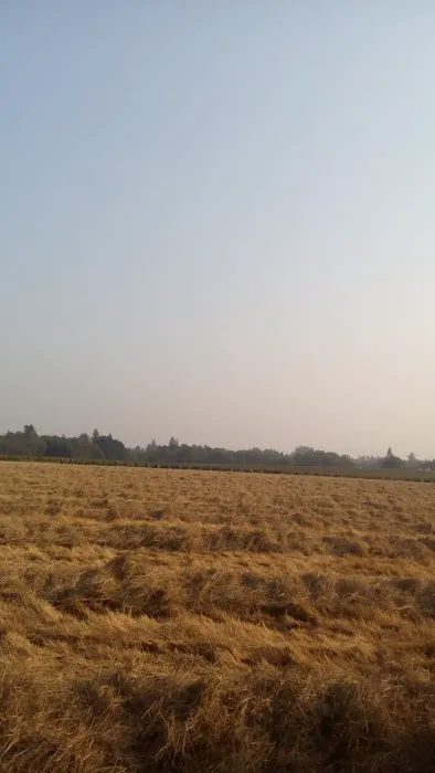 Sunnyview LLC Picture 1