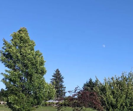 Lewis & Clark Golf & RV Park