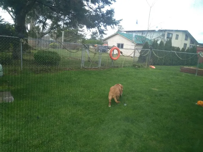 Glenwood Village Picture 2