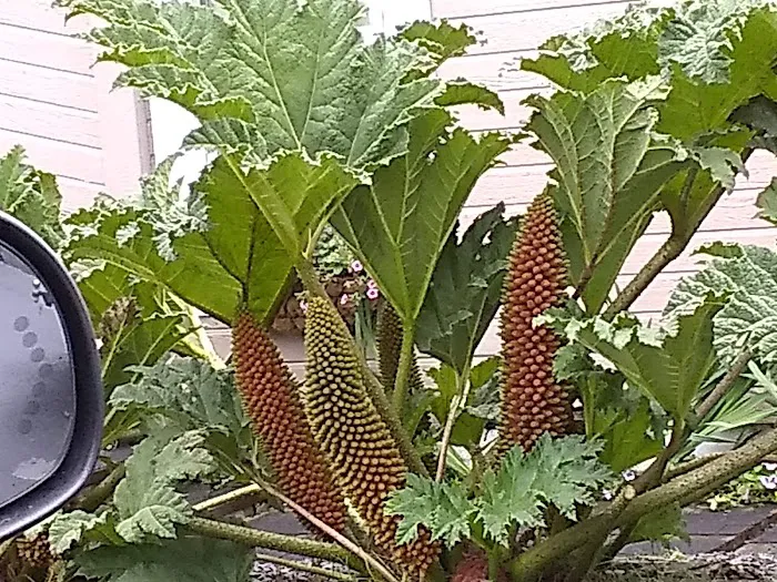 Glenwood Village Picture 3