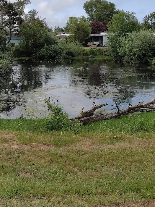 Glenwood Village Picture 10