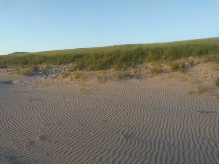 Alder Manor Mobile Home Park Picture 7