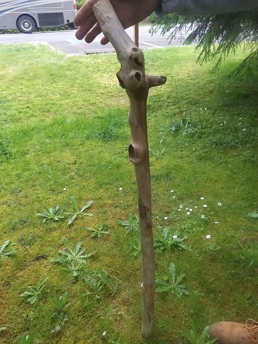 Alder Manor Mobile Home Park Picture 3