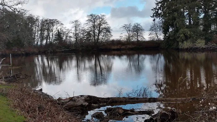 Alder Creek Village 55+ Park Picture 4