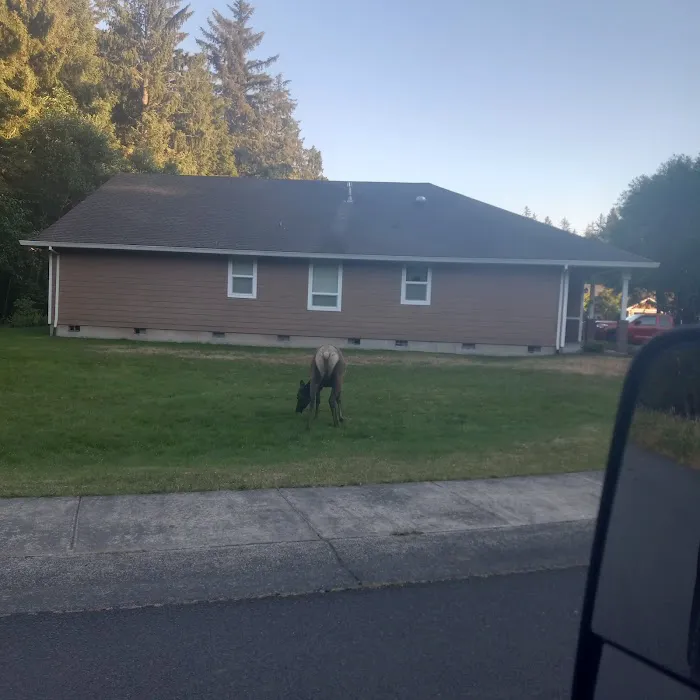 Kampers West Kampground Picture 5