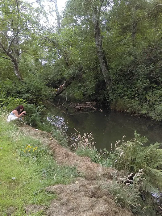 Kampers West Kampground Picture 10