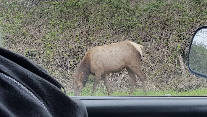 Kampers West Kampground Picture 9