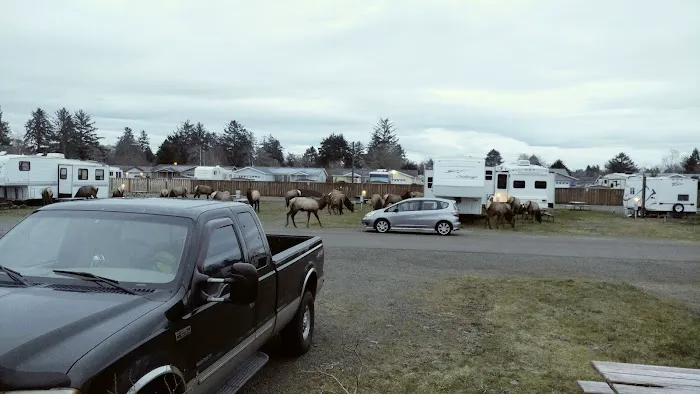 Kampers West Kampground Picture 8