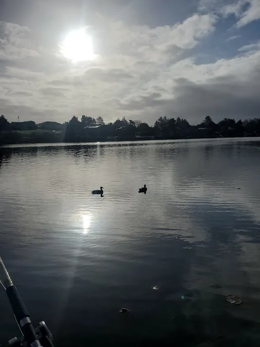 Sunset Lake Campground & RV Park Picture 2