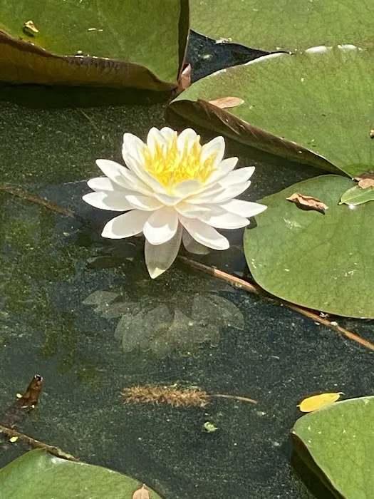 Sunset Lake Campground & RV Park Picture 4