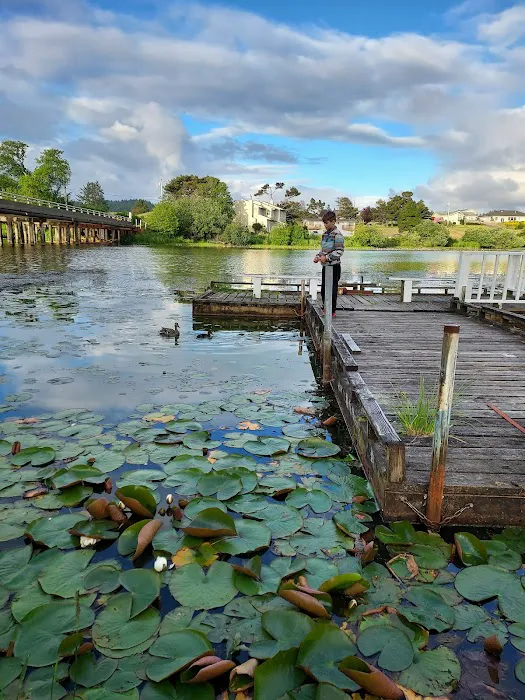 Sunset Lake Campground & RV Park Picture 10