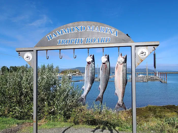 Hammond Marina RV Park Picture 6