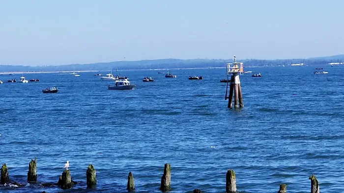 Hammond Marina RV Park Picture 7