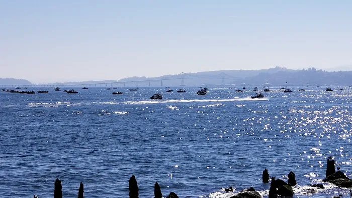 Hammond Marina RV Park Picture 10