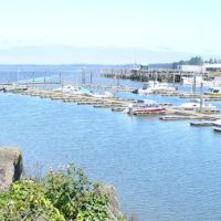 KM Resorts - Columbia Shores RV Resort ico