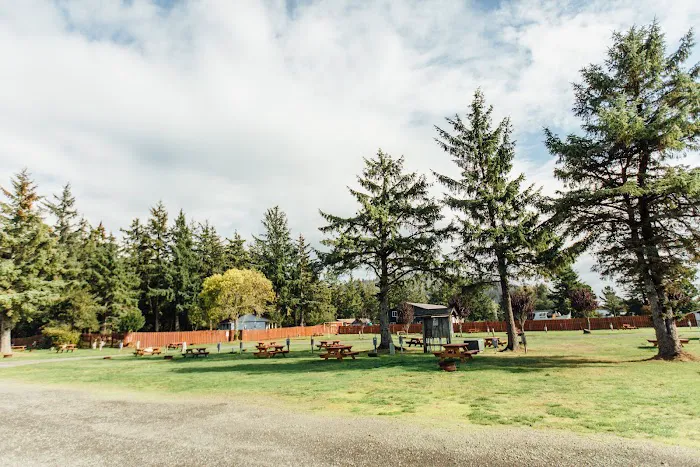 KM Resorts - Columbia Shores RV Resort Picture 10