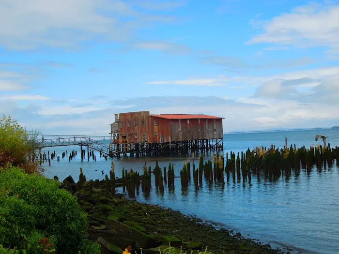 KM Resorts - Columbia Shores RV Resort Picture 8