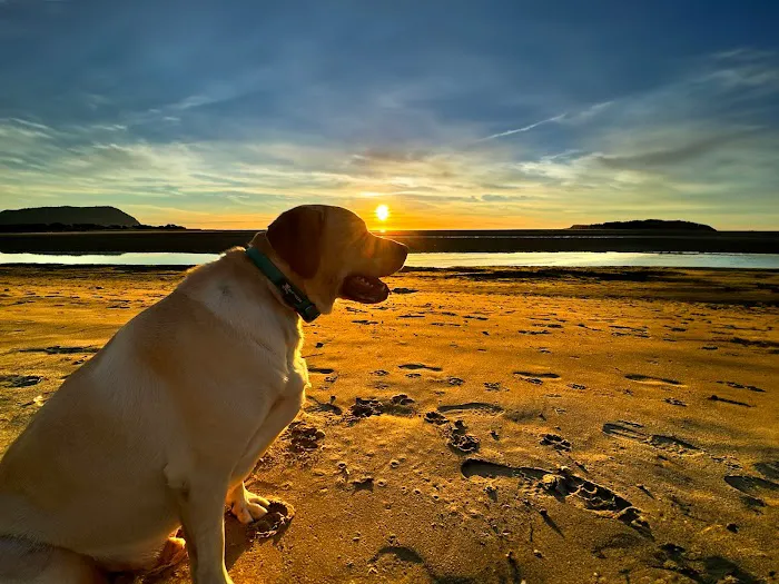 Neawanna River RV Park Picture 7