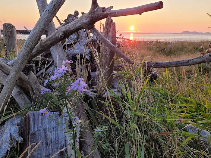 Chinook RV Park Picture 3