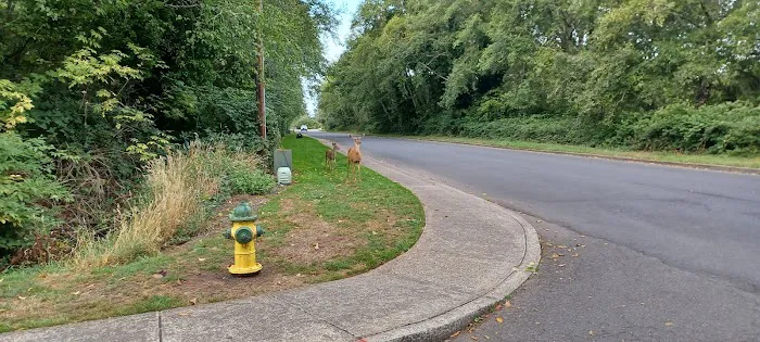 Shore Terrace Estates Picture 2