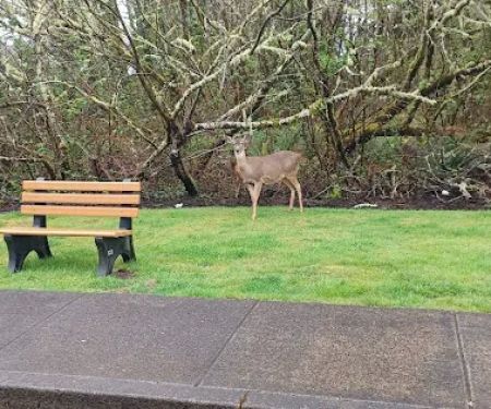 Shore Terrace Estates